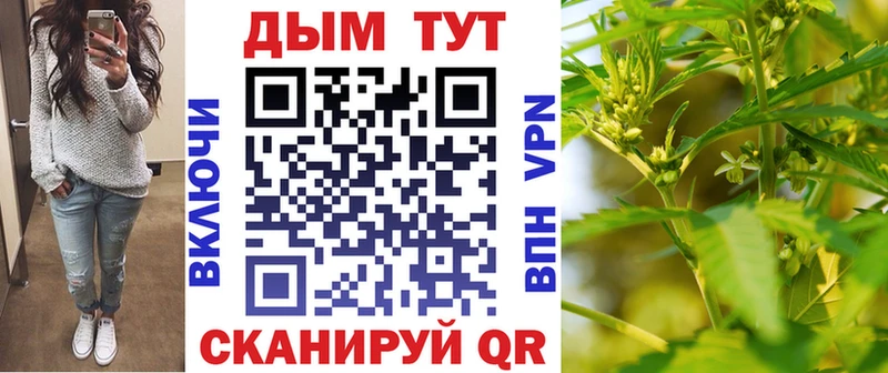 Купить закладки  Верхняя Салда  Конопля план 